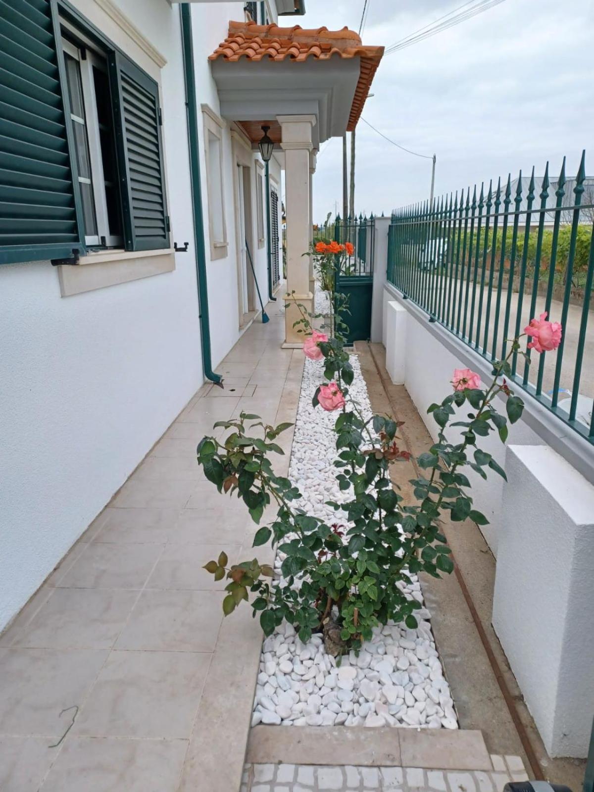 Lagoon & Country Side Home Ilhavo Exterior photo